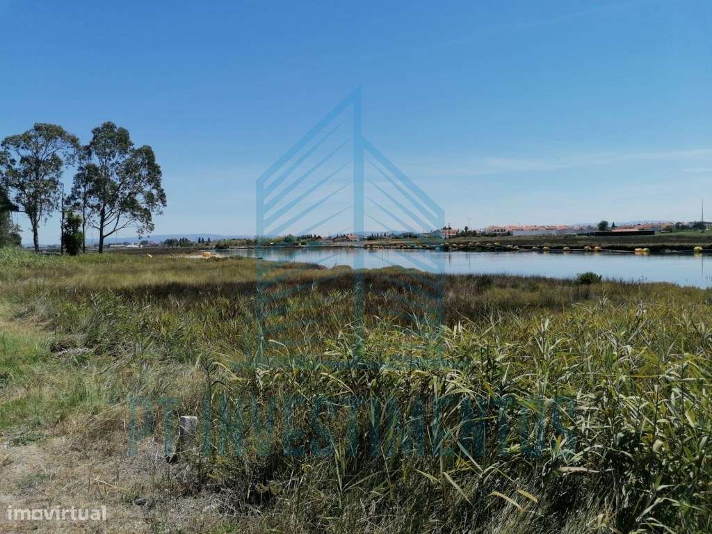 Terreno na Gafanha d' Aquém - Ilhavo - Grande imagem: 3/3