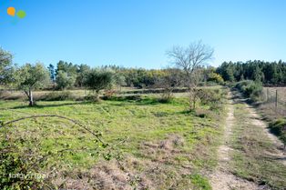 Terreno - Belmonte - Grande imagem: 5/9