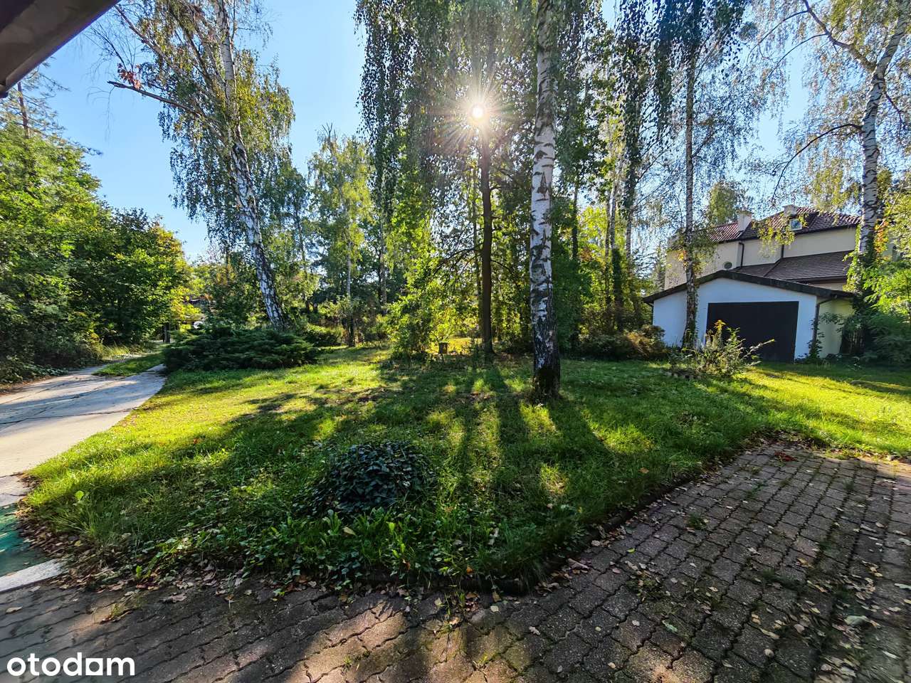 Duża zadrzewiona działka, salon wysoki na 6 metrów!-14