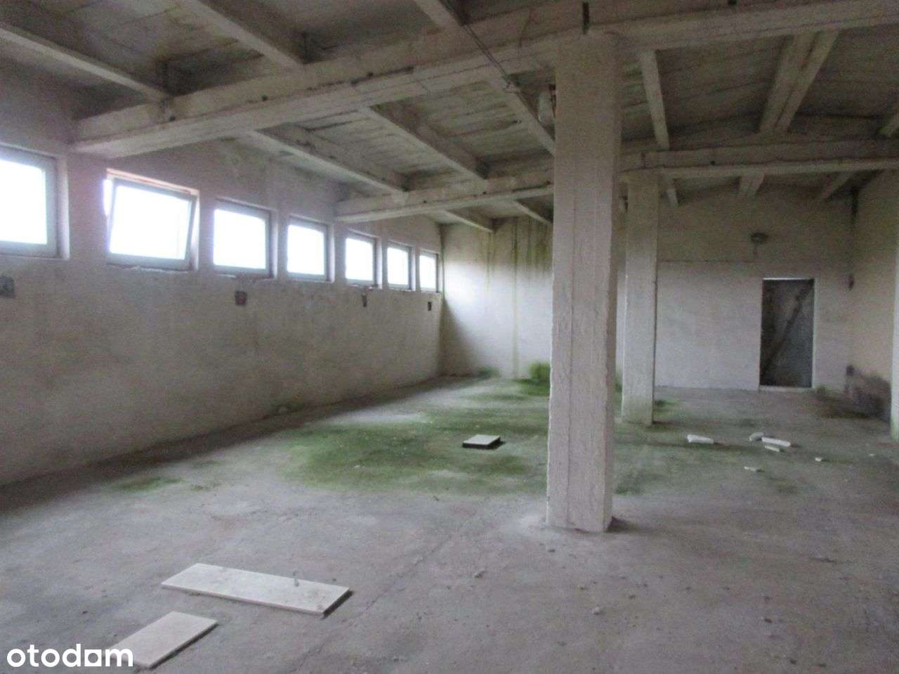 Magazyn w Chałupkach przy granicy Czeskiej - Pełny obrazek: 5/6