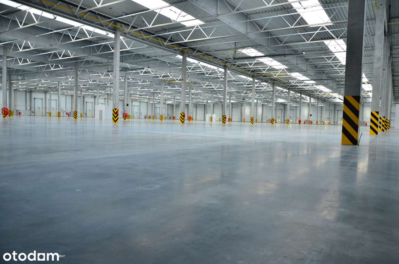 Magazyn od 1 350 m² |Poznań / S11 /A2 | 9,4 m | BREEAM | Klasa A - Pełny obrazek: 4/12