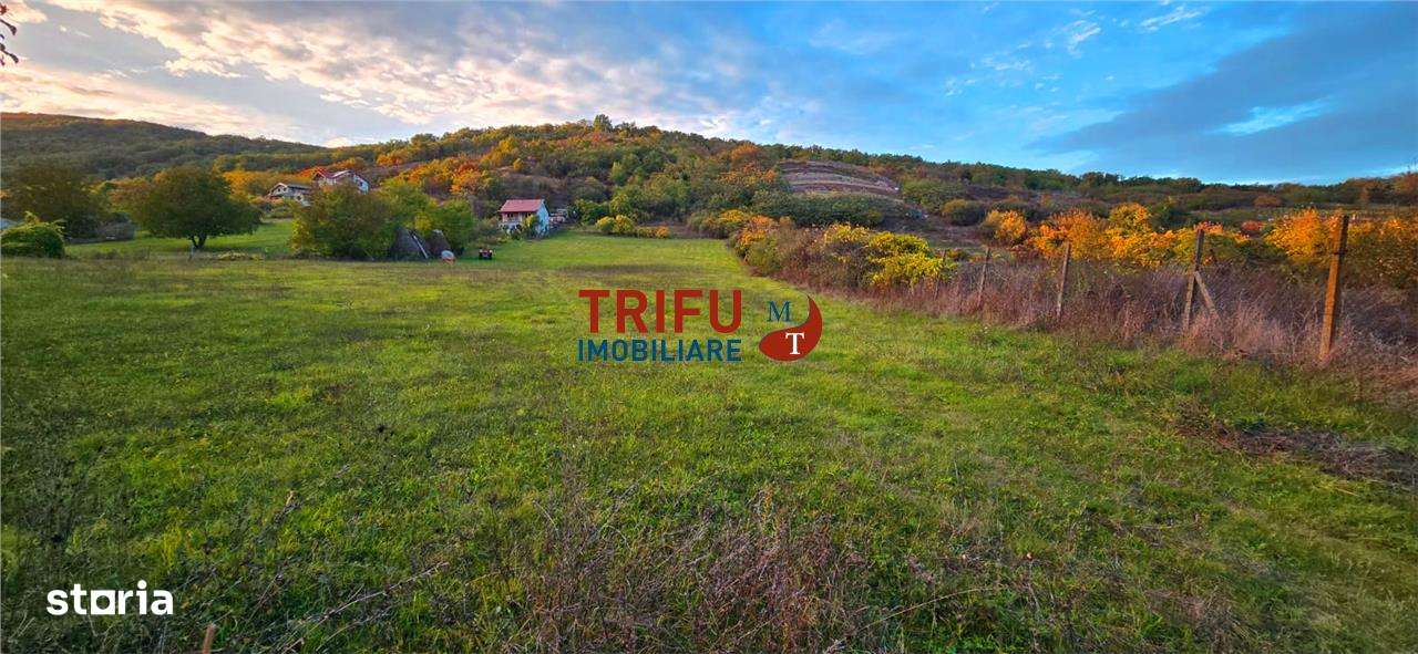 Teren de vanzare Valea Popi - Imagine principală: 3/6