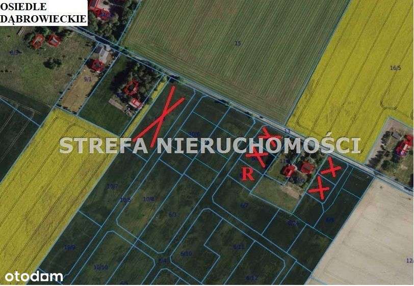 Działka budowlana w Dąbrówce; 2 km do Mogilna-2