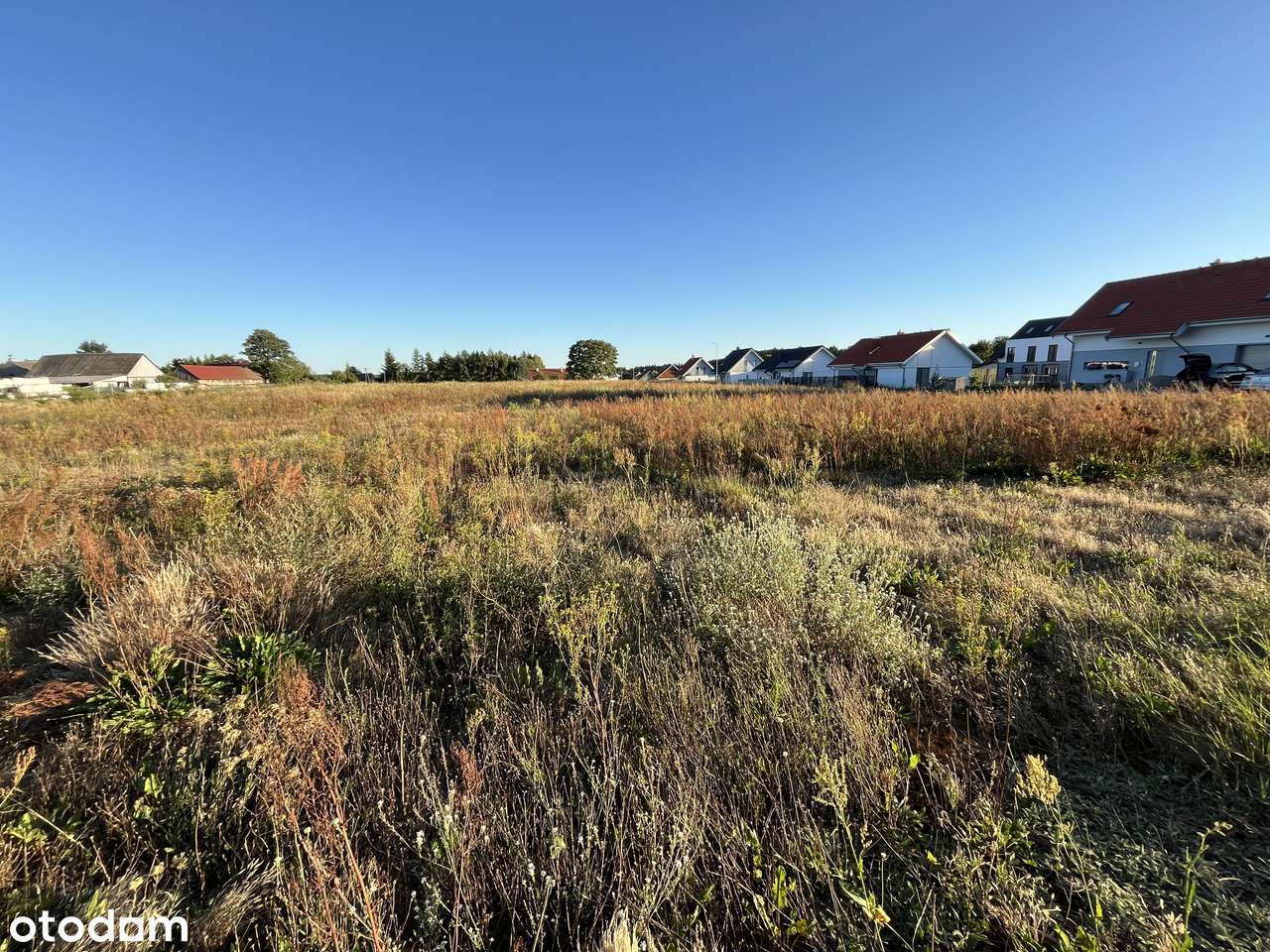 Wyjątkowa działka z własnym lasem, warunkami zabudowy i projektem domu - Pełny obrazek: 5/14
