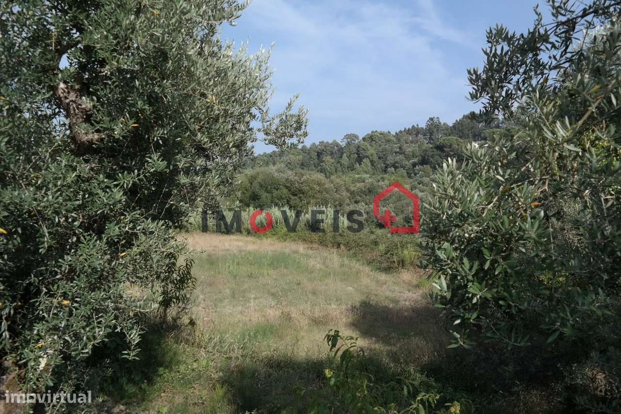 Terreno - Grande imagem: 2/2