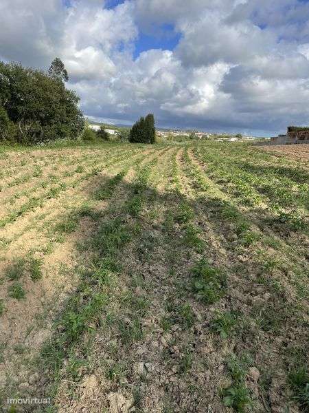 Vendo ou troco Terreno rustico - Grande imagem: 4/5