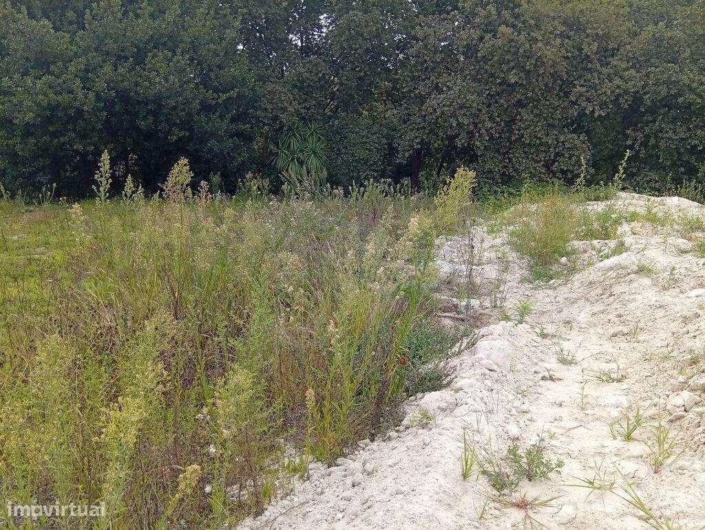 Terreno T3 em Barcelos, Vila Boa e Vila Frescainha (São Martinho e São - Grande imagem: 5/28