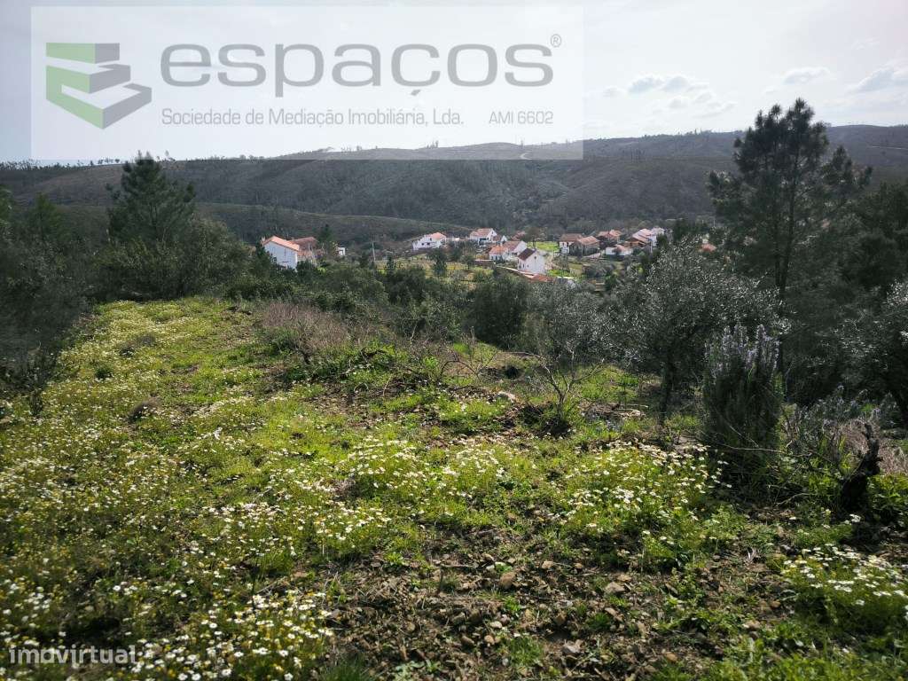 Terreno agrícola com 2 poços - Cerejeira - Grande imagem: 5/8
