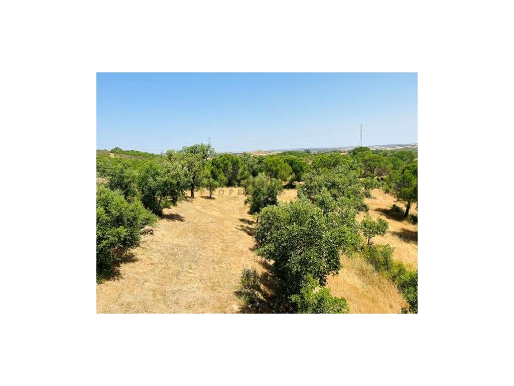 Herdade renovada com 4 quartos e piscina em Ourique.-30