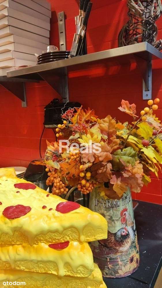 Kompletny koncept gastronomiczny-włoska pizzeria - Pełny obrazek: 3/4