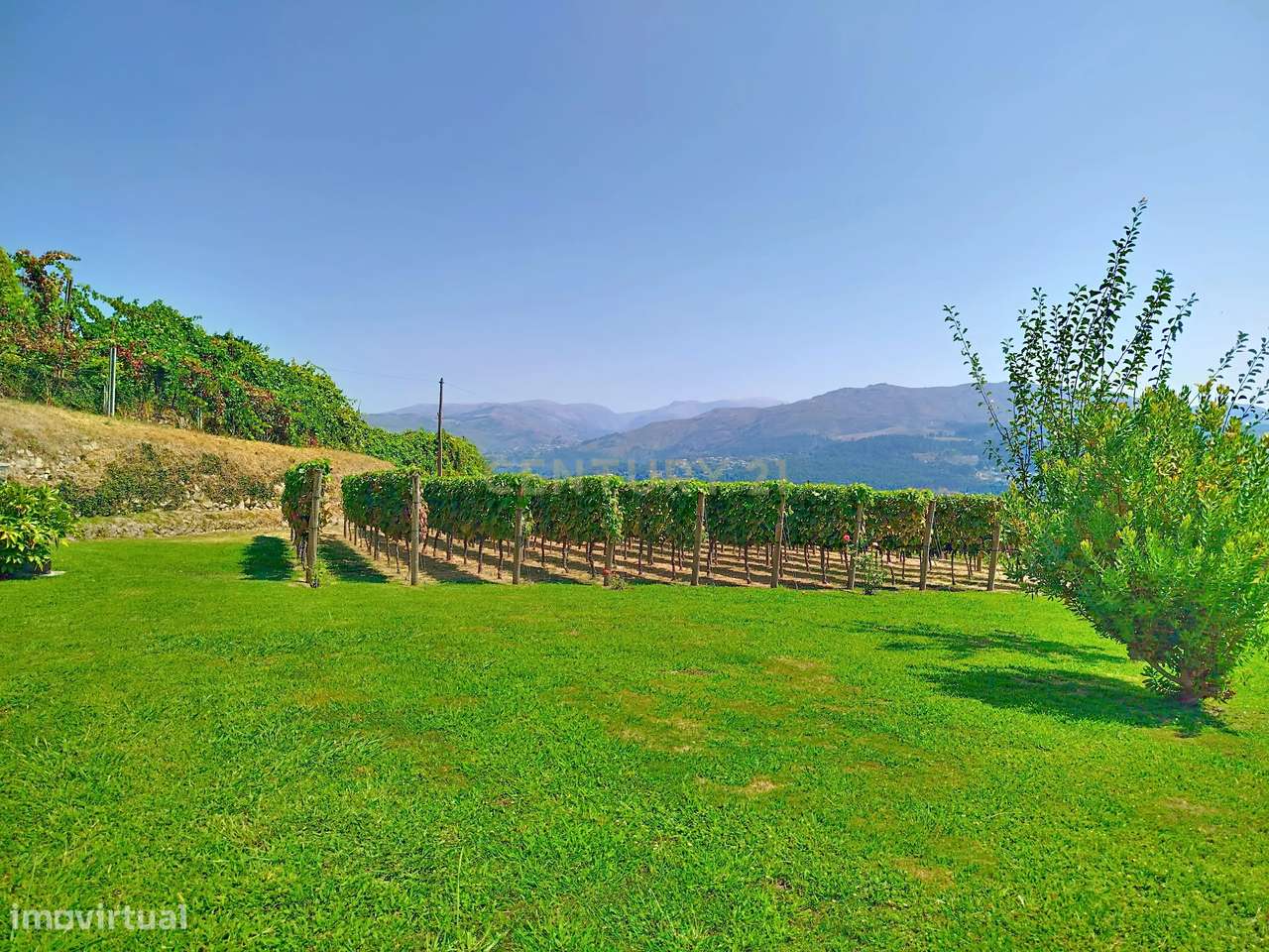 Luxuosa Moradia com Vista Panorâmica em Arcos de Valdevez-8