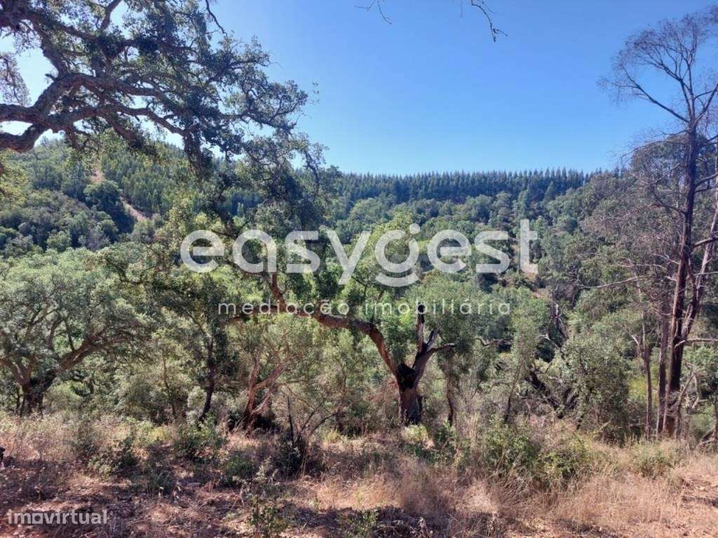 Monte em Ruina em local paradisíaco no Concelho de Odemira - Grande imagem: 4/22