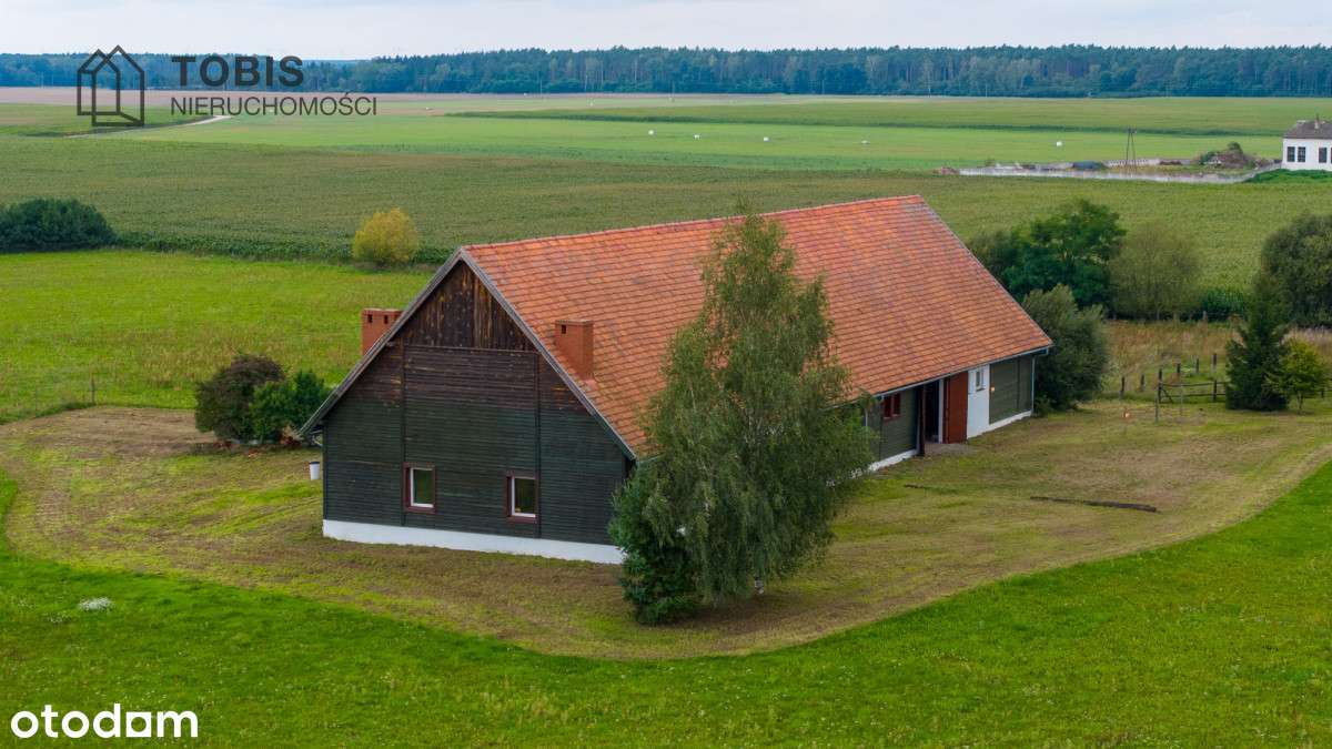 Stadnina z ogromnym potencjałem!-4