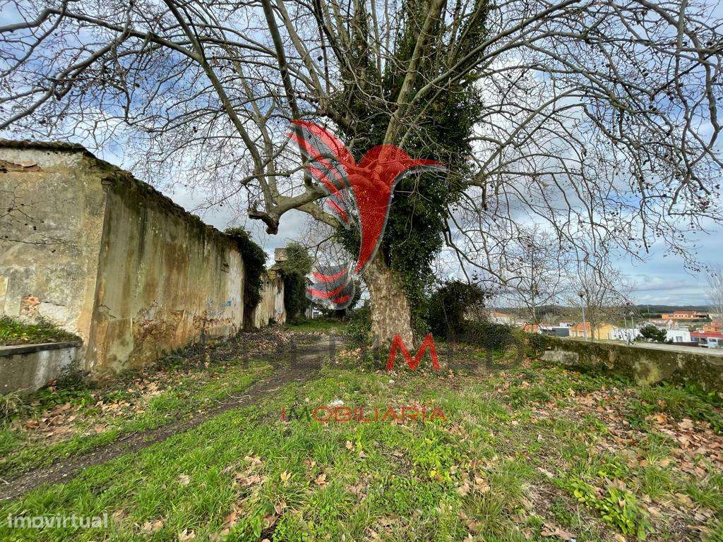 Terreno Urbano - Grande imagem: 5/8