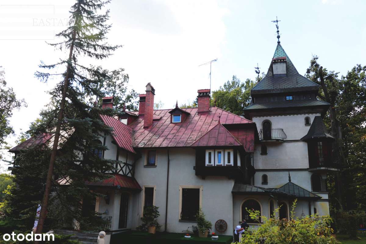 Zabytkowy pałacyk z wieloma możliwościami - Pełny obrazek: 5/16