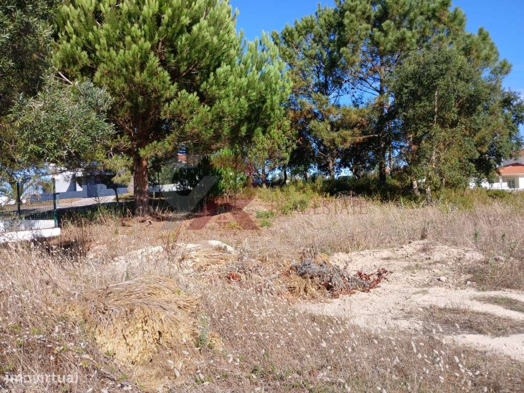 Lote com projeto de construção - Nadadouro Caldas da Rainha-11