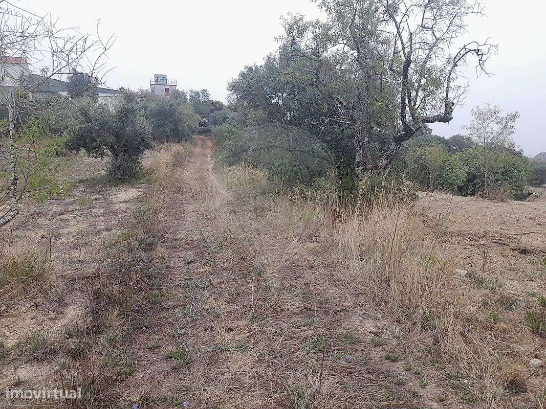 Terreno  para venda - Grande imagem: 4/4