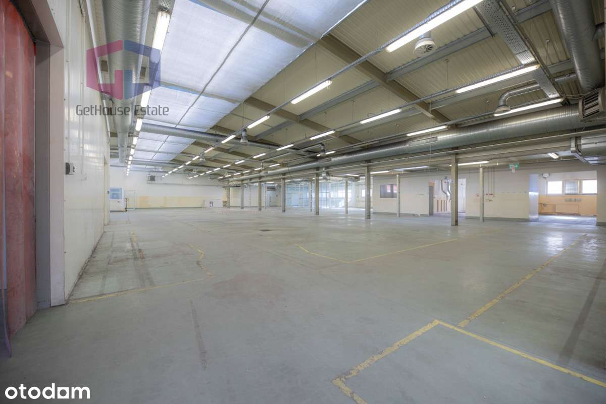 Hale produkcyjno-magazynowo-biurowe Jonkowo - Pełny obrazek: 5/20