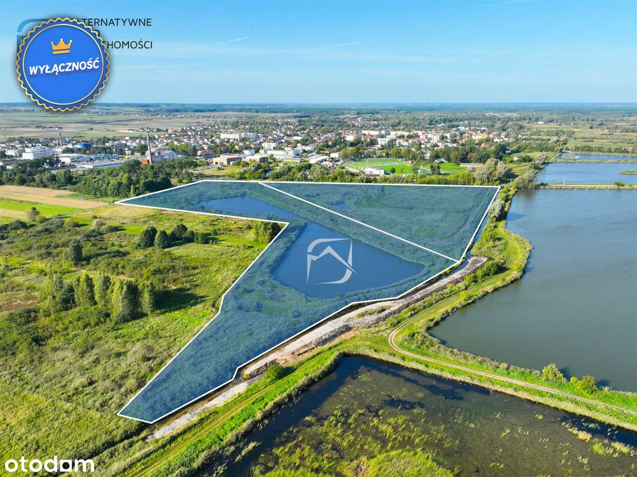 Wyjątkowy teren w Opolu Lubelskim- 11ha- rekreacj - Pełny obrazek: 4/14
