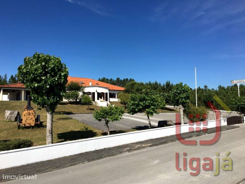 Restaurante 'LOCOMOTIVA'- Seiça, Ourém!-27