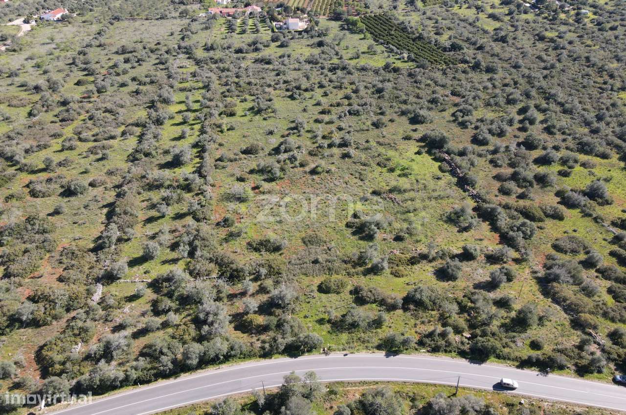 2 Terrenos Rústicos com uma área de 23.960m2, Messines - Grande imagem: 5/20