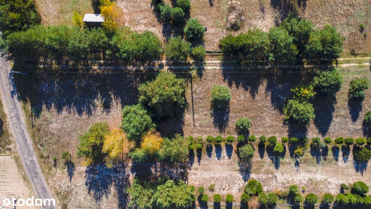 Działka Pod Zabudowę Rekreacyjną | Objęta Mpzp  - Pełny obrazek: 5/11
