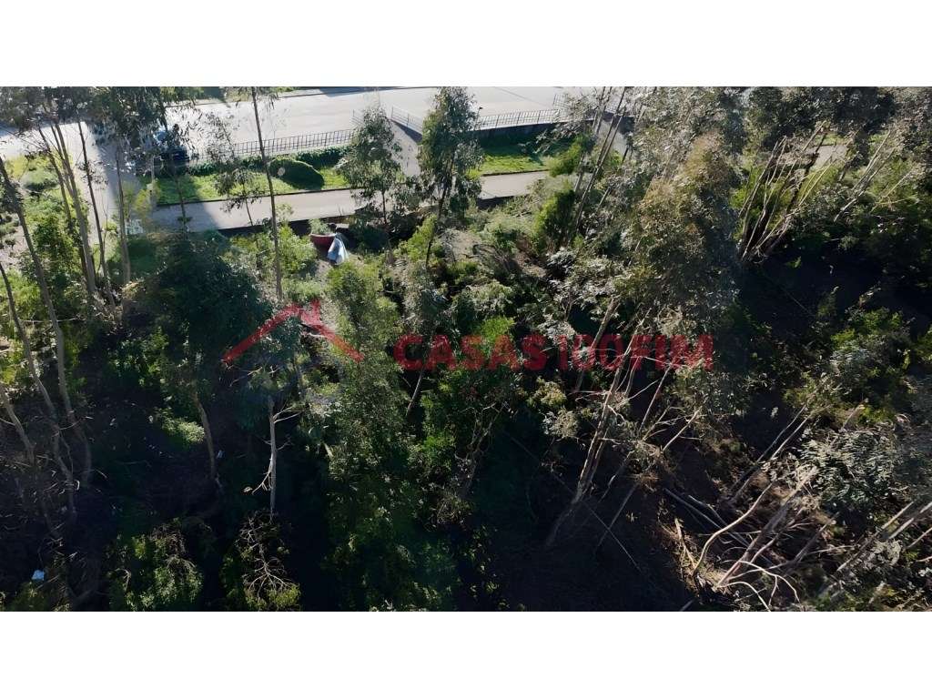 Lote para Construção de Moradia com 3 Pisos e Vistas Desafogadas-5