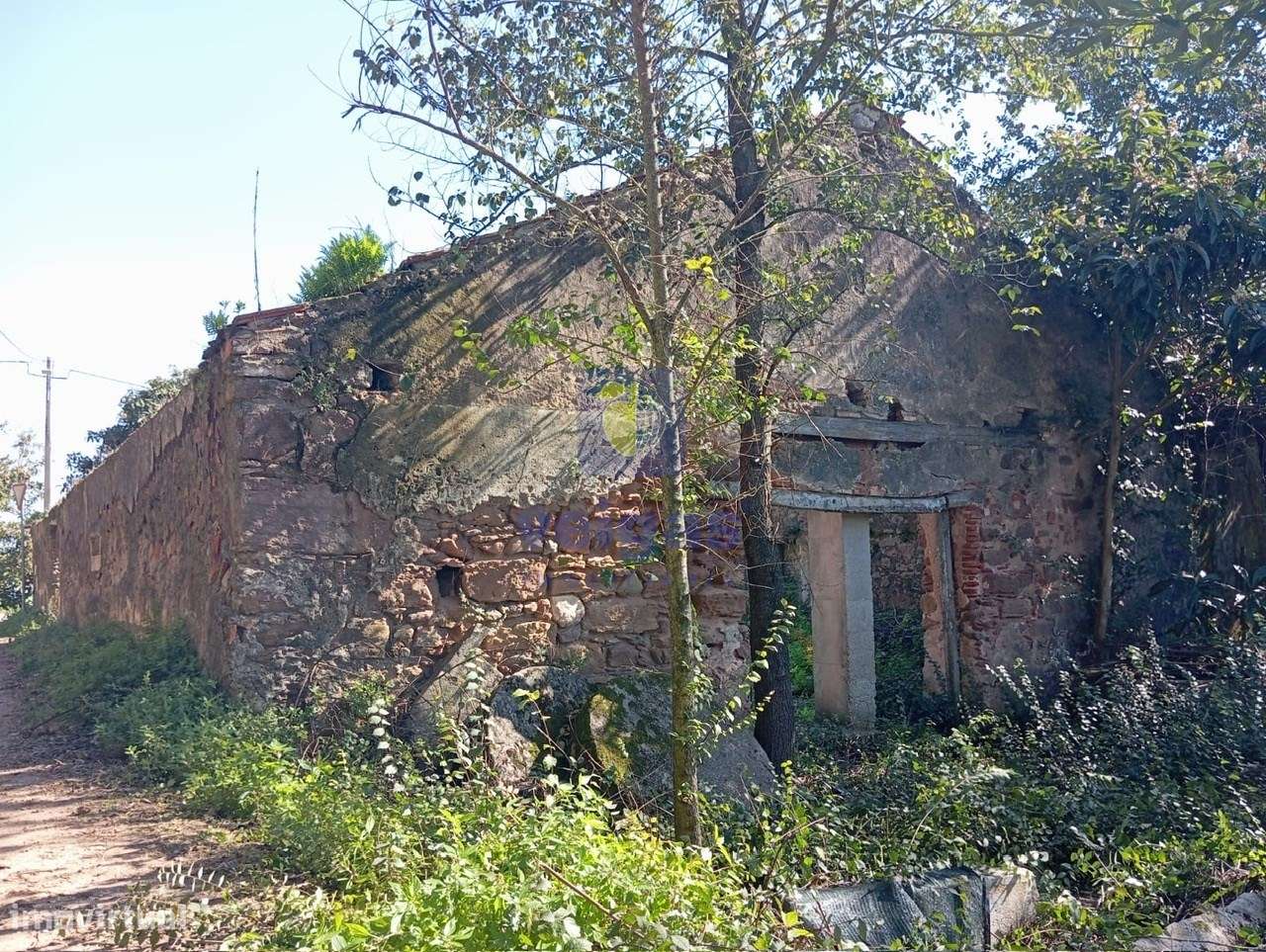 Ruina na Quinta do Bravo - Grande imagem: 5/10