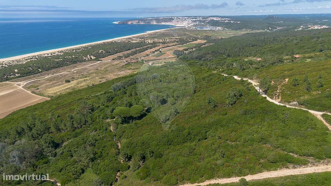Terreno  para venda-8