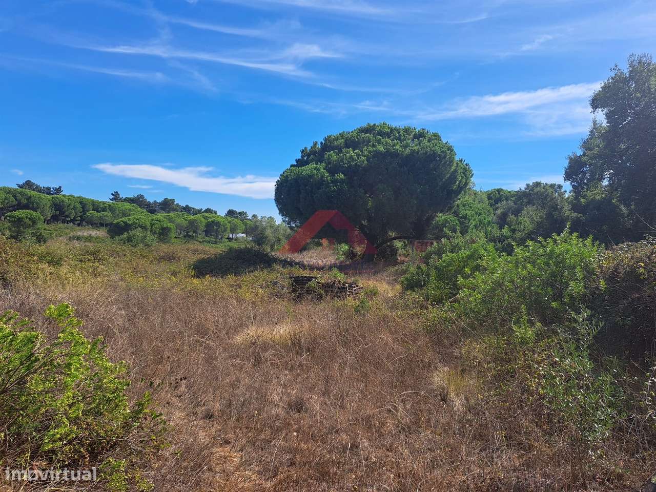 Terreno Rústico  Venda em Cartaxo e Vale da Pinta,Cartaxo - Grande imagem: 4/12