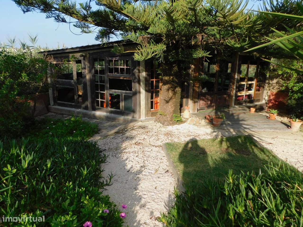 Moradia V6+V2 (Vista mar) - Colares (Praia Grande) - Grande imagem: 5/34