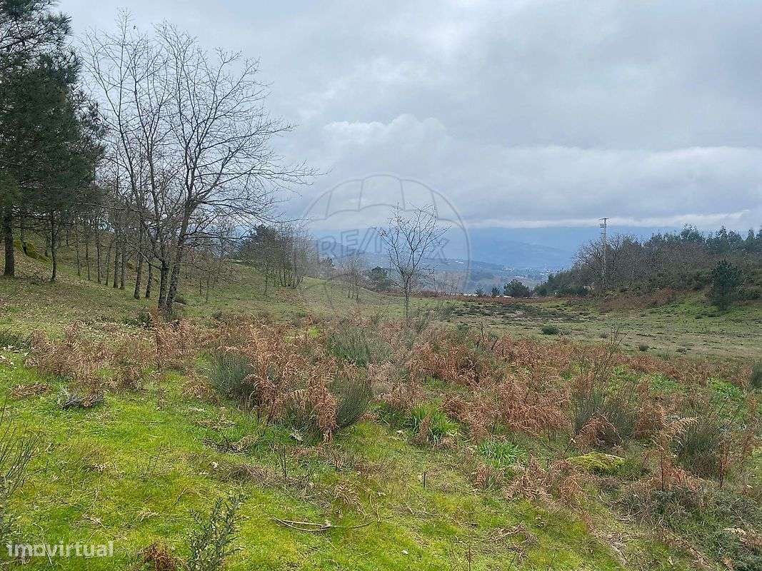 Terreno  para venda - Grande imagem: 5/10