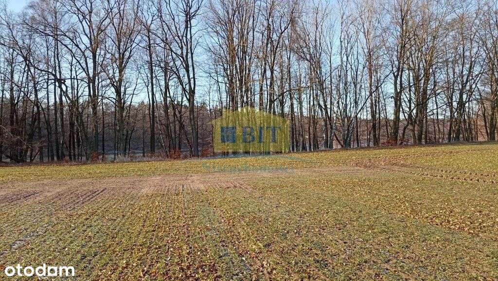 Działka 6066 m2, z dostępem do jeziora Kaleńsko-6