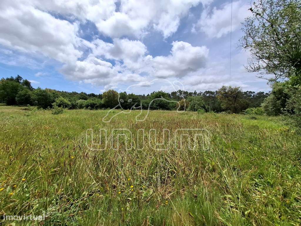 Terreno para venda na Montaria-1