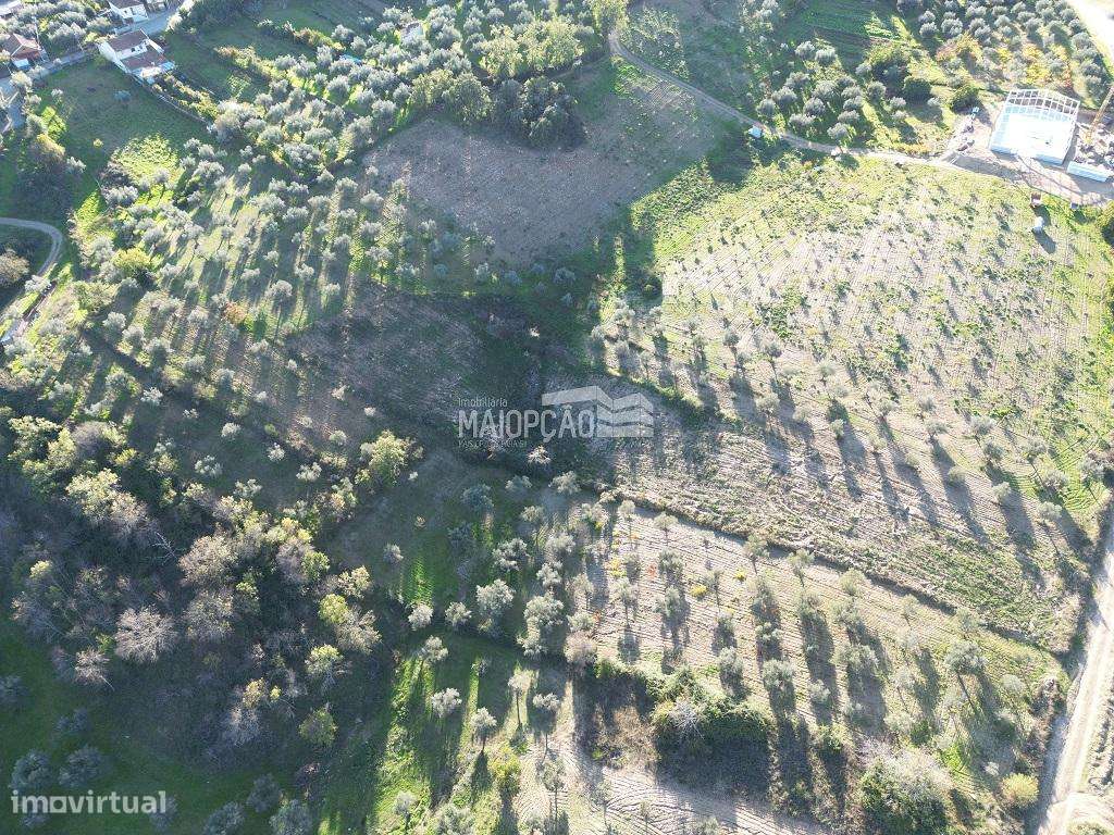 Terreno Grijó de Parada - Grande imagem: 5/6