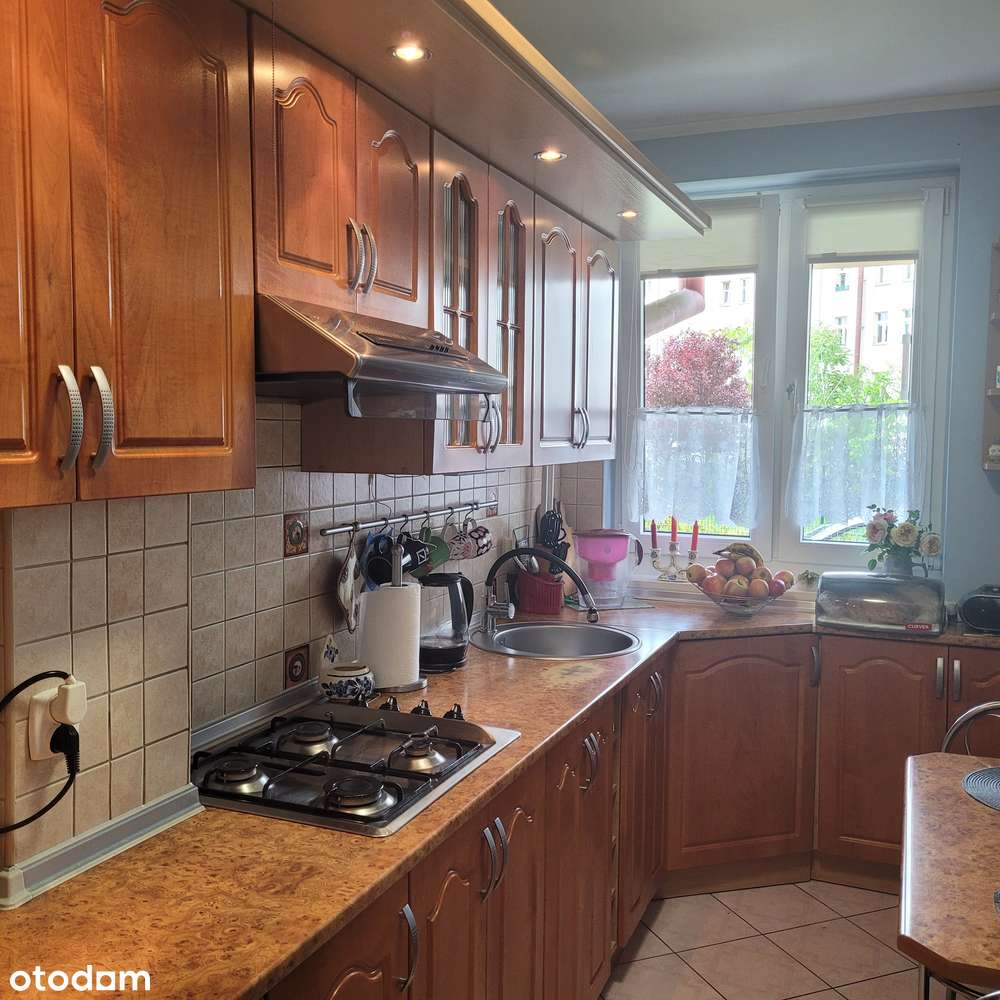 Mieszkanie 2 pokoje, rozkład, plomba, w ok. pl Bema-0