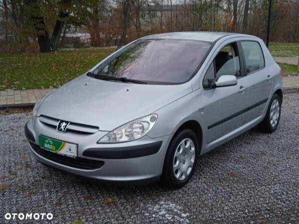 Peugeot 307 1.6 Premium - 33