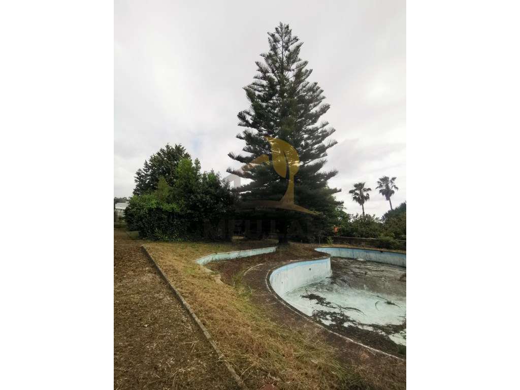 Quinta de Luxo-31
