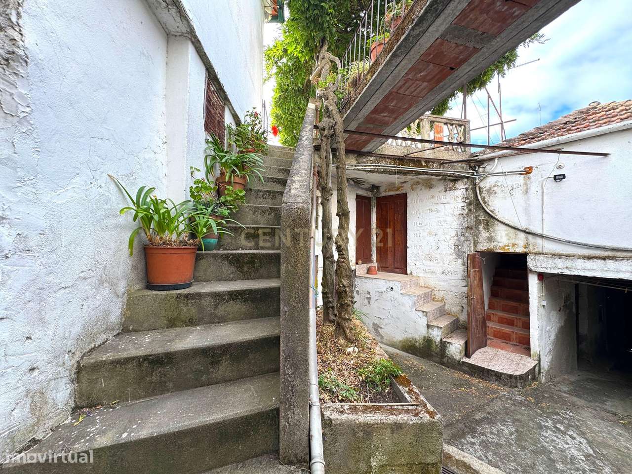 Moradia no Douro com Vinha, Sobreiros, Olivais e Terreno Urbano, Casta - Grande imagem: 4/55