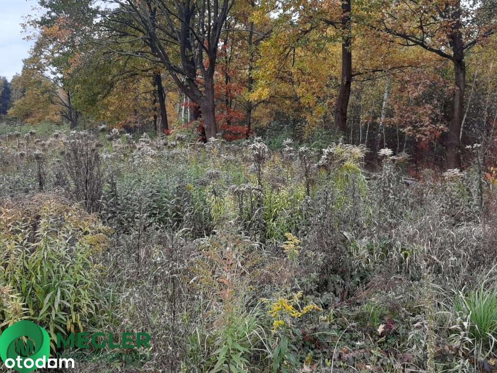 Działka w otulinie lasu-2