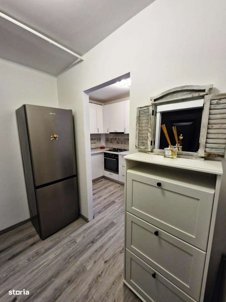 Baba Novac -Gheorghe Petrascu-9