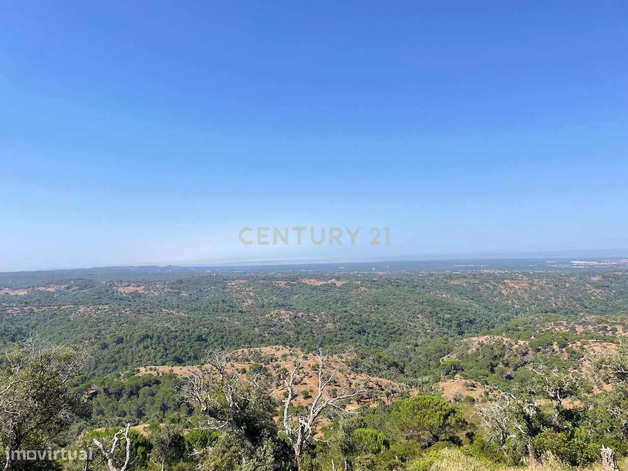 Terreno com 50 Ha , com vista fantástica em Melides - Grande imagem: 5/6