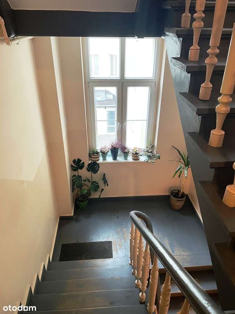 Polecam 3 pokojowe mieszkanie na Sołaczu-13