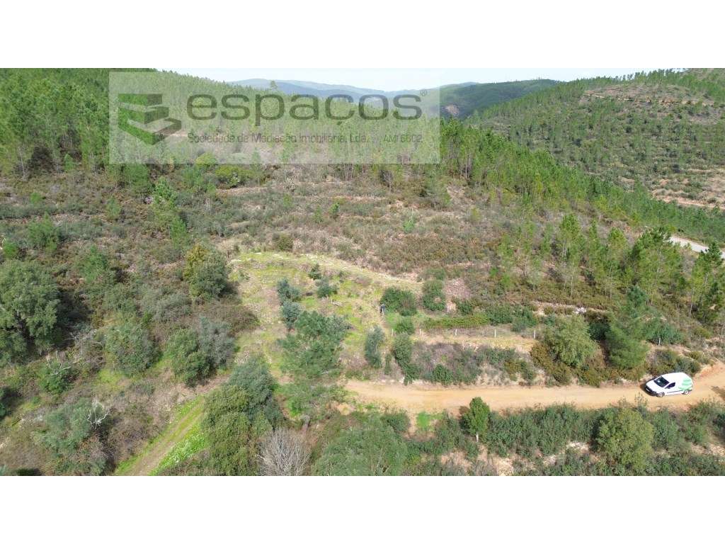 Terreno agrícola com 2 poços - Cerejeira - Grande imagem: 3/8