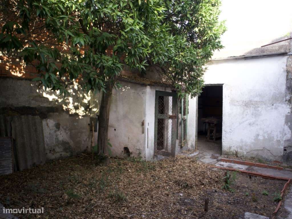 The Hidden Garden Project-9