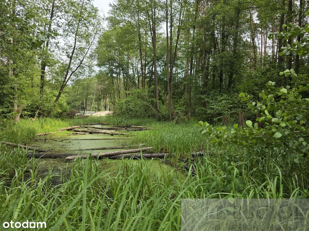 Działka rekreacyjna 1000 m2 w malowniczej okolicy - Pełny obrazek: 5/7