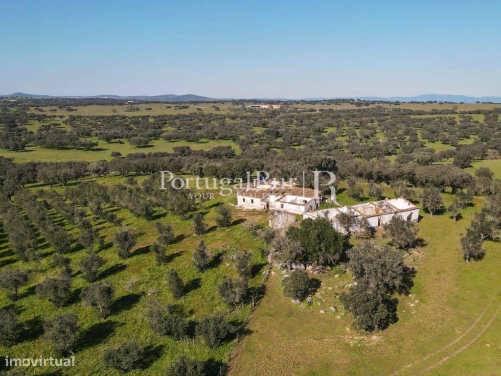 Herdade de 18 hectares perto de Estremoz-12