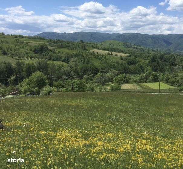 Teren intravilan - Imagine principală: 4/7