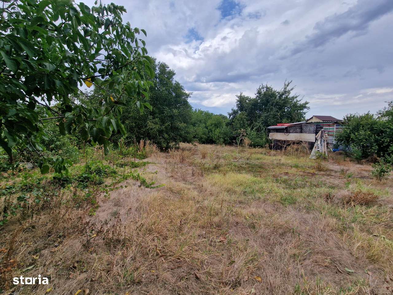 Teren intravilan Frumusani, utilitati gaz si curent, put, 1239 mp,-3