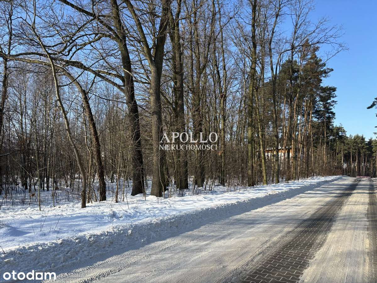 MIĘDZYLESIE - działka pod kameralną inwestycję seg-7